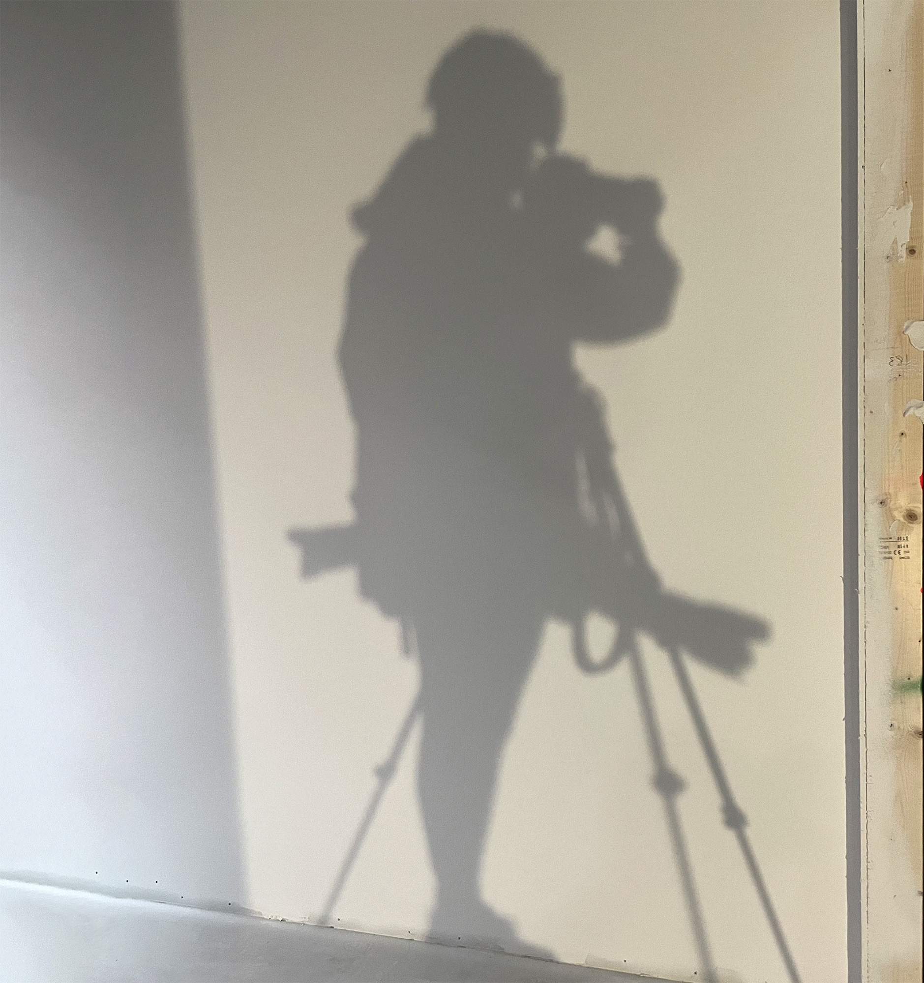 FotograFia-sofia-portratt-skugga