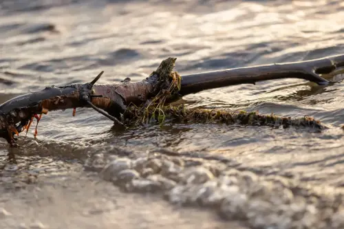 FotograFia-bildmix-morgonljus-vatten-strand