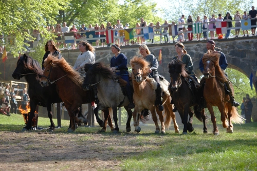 FotograFia-event-ekenasslott-riddare-hastar-show