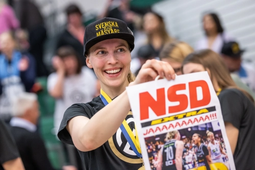FotograFia-sport-basket-smguld-sverige-dam-ellennystrom