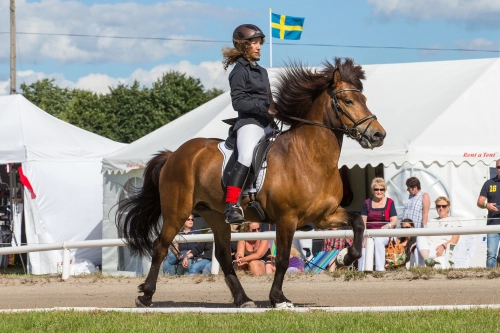 FotograFia-sport-islandshast-hastar-sm-himmelstalund-tjej